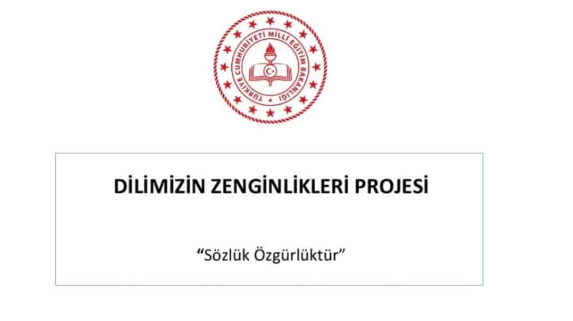 Dilimizin Zenginlikleri Projesi